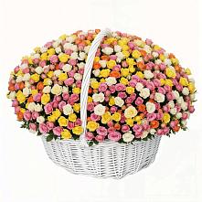 Премиум букет из: Розы в Новоегорьевском