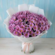 Букет цветов из:  Хризантемы в Новоегорьевском