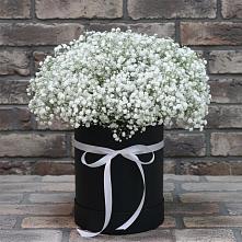 Цветочная композиция из Гипсофила в шляпной коробке в Новоегорьевском