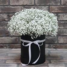 Цветочная композиция из Гипсофила в шляпной коробке в Новоегорьевском