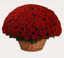 Премиум букет из: Розы в Новоегорьевском