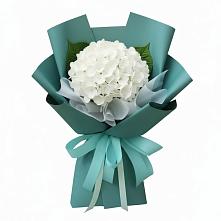Букет цветов из:  Гортензия в Новоегорьевском